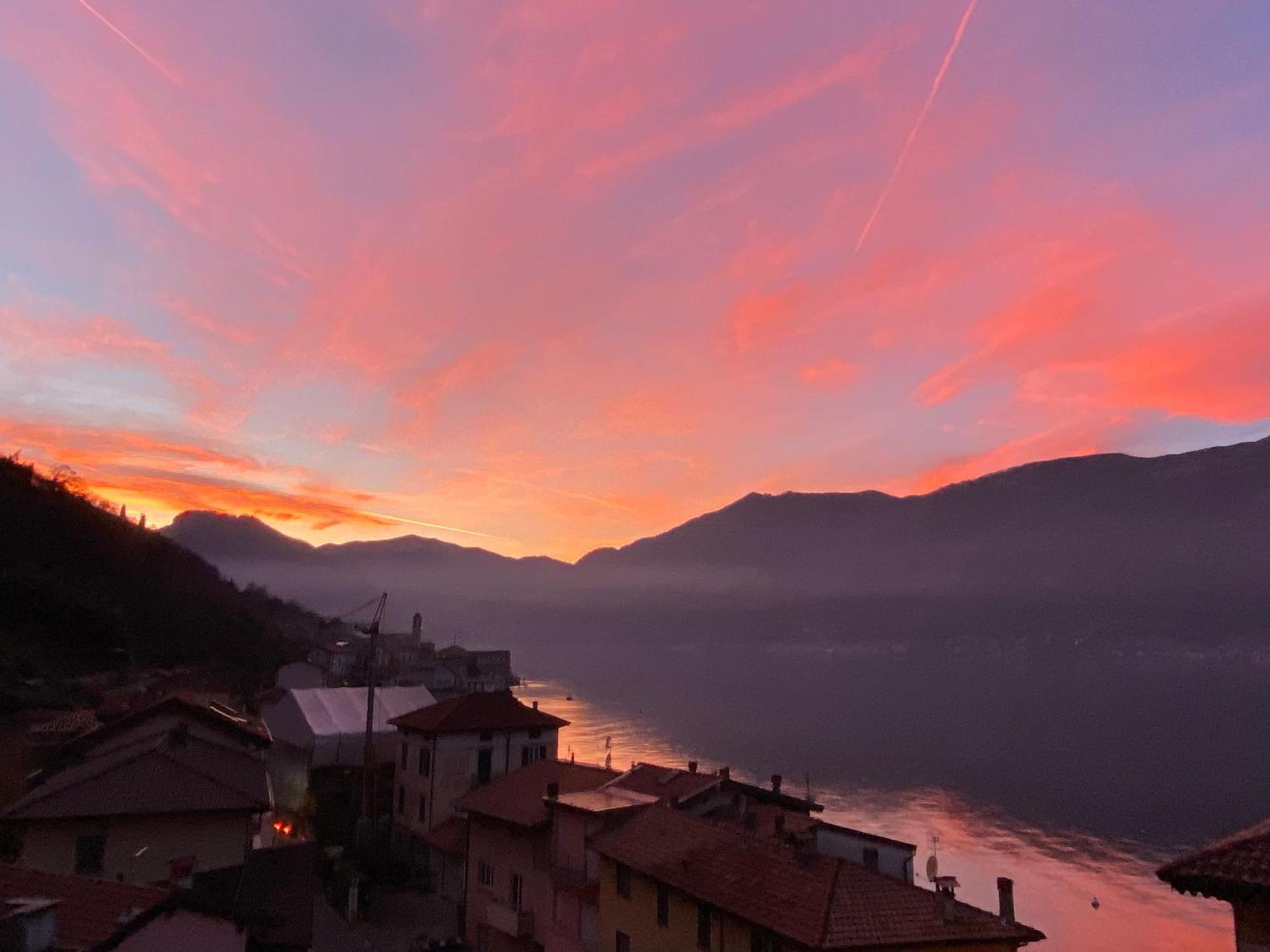 Tiziana Lake Como View Terraces Apartment Lezzeno Exterior photo